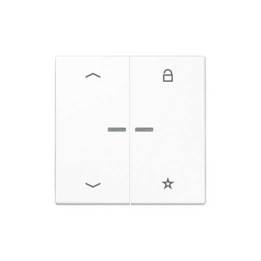 Jung Steuertaste FMLS1701PWW eNet Funk