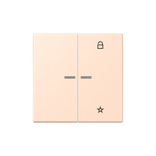 Jung Funk-Steuertaste eNet Standard LC32091