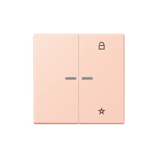 Jung Funk-Steuertaste eNet Standard LC32112