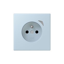 Jung Steckdose BTLC1521FS208 HOME franz belg