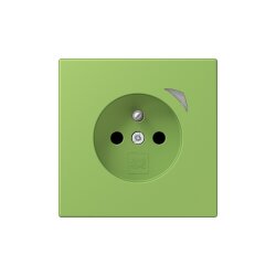 Jung Steckdose BTLC1521FS220 HOME franz belg