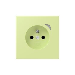 Jung Steckdose BTLC1521FS222 HOME franz belg