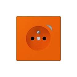 Jung Steckdose BTLC1521FS224 HOME franz belg