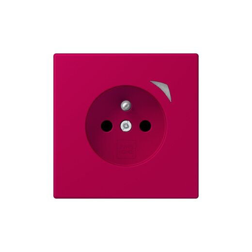 Jung Steckdose BTLC1521FS230 HOME franz belg