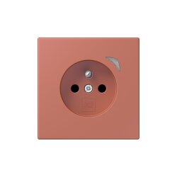 Jung Steckdose BTLC1521FS236 HOME franz belg