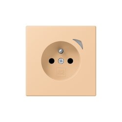 Jung Steckdose BTLC1521FS237 HOME franz belg