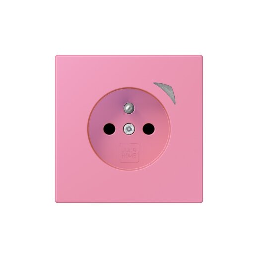 Jung Steckdose BTLC1521FS246 HOME franz belg