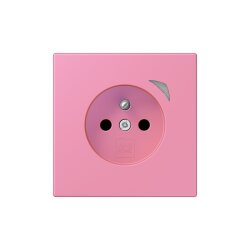 Jung Steckdose BTLC1521FS246 HOME franz belg