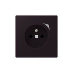 Jung Steckdose BTLC1521FS248 HOME franz belg