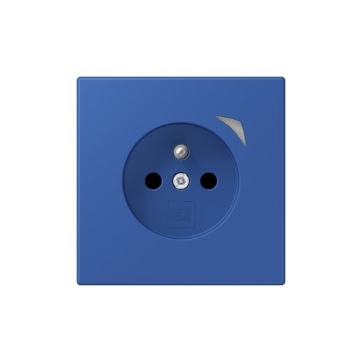 Jung Steckdose BTLC1521FS253 HOME franz belg