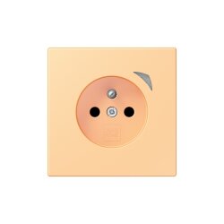 Jung Steckdose BTLC1521FS258 HOME franz belg