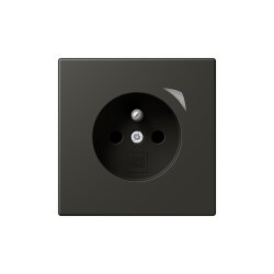 Jung Steckdose BTLC1521FS259 HOME franz belg