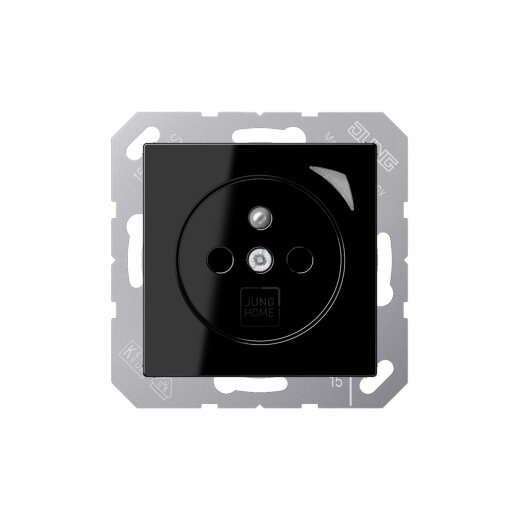 Jung Steckdose BTA1521FSESW HOME Energy franz
