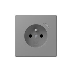 Jung Steckdose BTLC1521FSE203 HOME Energy franz