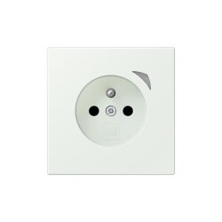 Jung Steckdose BTLC1521FSE210 HOME Energy franz