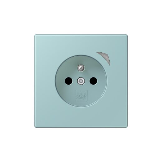 Jung Steckdose BTLC1521FSE214 HOME Energy franz