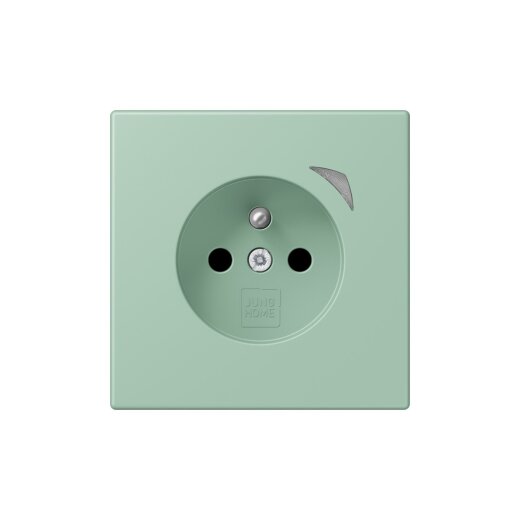 Jung Steckdose BTLC1521FSE217 HOME Energy franz