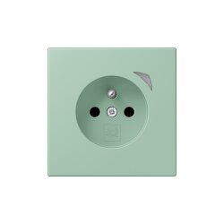 Jung Steckdose BTLC1521FSE217 HOME Energy franz