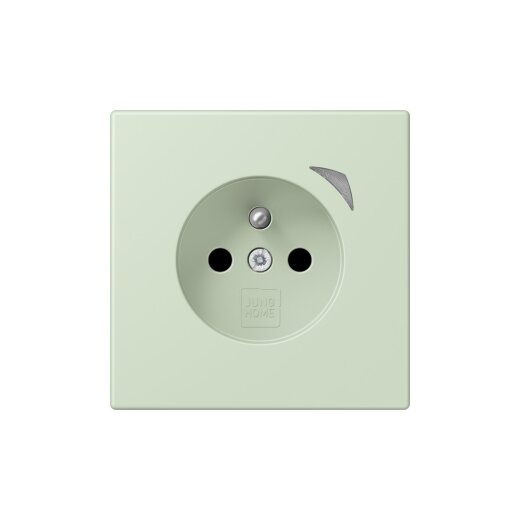 Jung Steckdose BTLC1521FSE218 HOME Energy franz