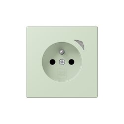 Jung Steckdose BTLC1521FSE218 HOME Energy franz