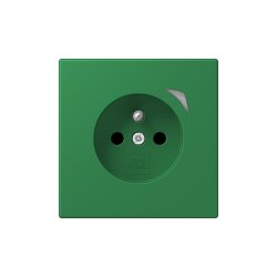 Jung Steckdose BTLC1521FSE219 HOME Energy franz