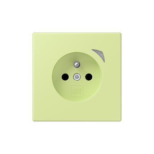 Jung Steckdose BTLC1521FSE222 HOME Energy franz