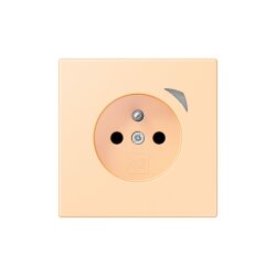 Jung Steckdose BTLC1521FSE223 HOME Energy franz