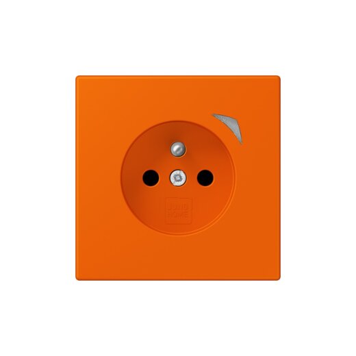 Jung Steckdose BTLC1521FSE224 HOME Energy franz