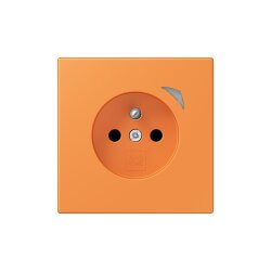 Jung Steckdose BTLC1521FSE225 HOME Energy franz