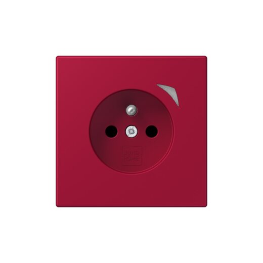 Jung Steckdose BTLC1521FSE229 HOME Energy franz