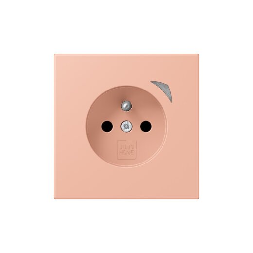 Jung Steckdose BTLC1521FSE231 HOME Energy franz