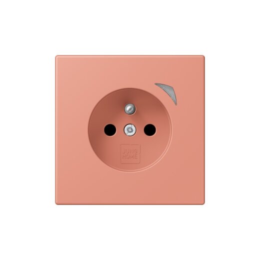 Jung Steckdose BTLC1521FSE233 HOME Energy franz