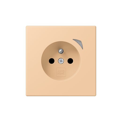 Jung Steckdose BTLC1521FSE237 HOME Energy franz