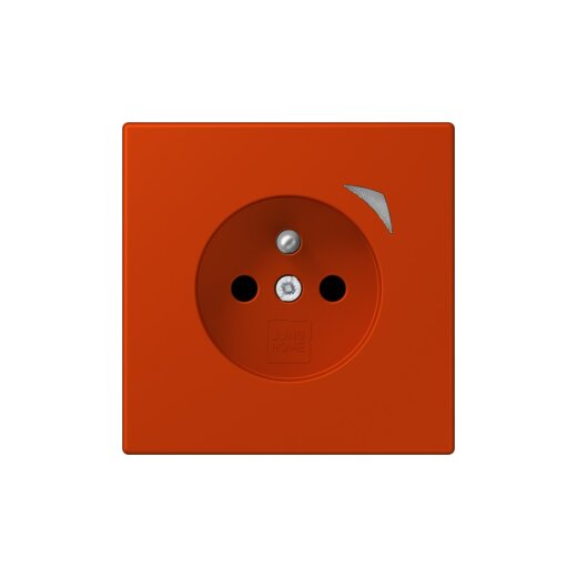 Jung Steckdose BTLC1521FSE244 HOME Energy franz