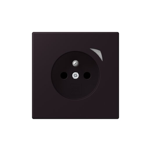 Jung Steckdose BTLC1521FSE248 HOME Energy franz