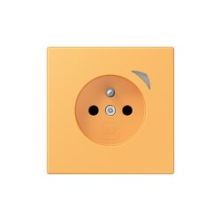 Jung Steckdose BTLC1521FSE254 HOME Energy franz