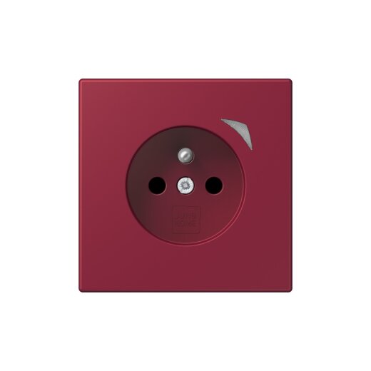 Jung Steckdose BTLC1521FSE255 HOME Energy franz