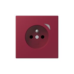 Jung Steckdose BTLC1521FSE255 HOME Energy franz