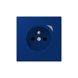 Jung Steckdose BTLC1521FSE261 HOME Energy franz