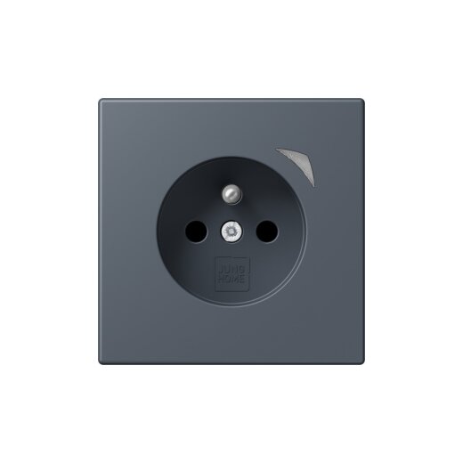 Jung Steckdose BTLC1521FSE262 HOME Energy franz