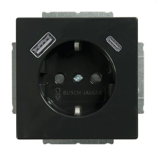 Busch-Jaeger SCHUKO-Steckdose 20 EUCB2USBAC-81 A+C