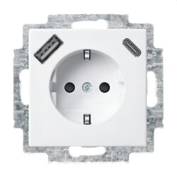 Busch-Jaeger SCHUKO-Steckdose 20 EUCB2USBAC-914 A+C