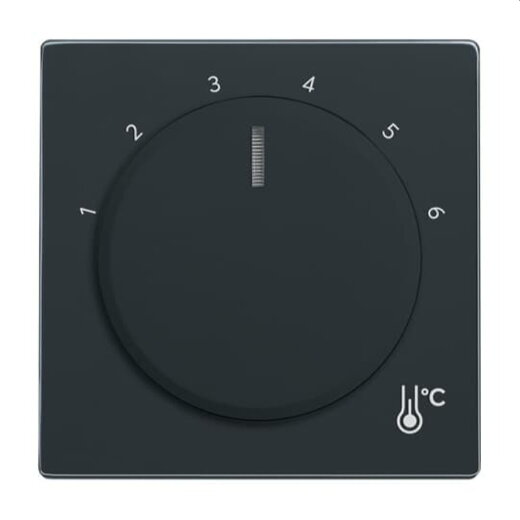 Busch-Jaeger Zentralscheibe 1794 R-81 Temperatur rund