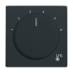 Busch-Jaeger Zentralscheibe 1794 R-81 Temperatur rund