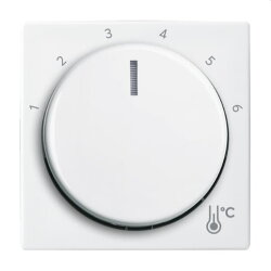 Busch-Jaeger Zentralscheibe 1794 R-914 Temperatur rund