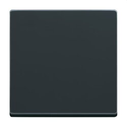 Busch-Jaeger Bedienelement 6735 BT-81 BT 1-f.