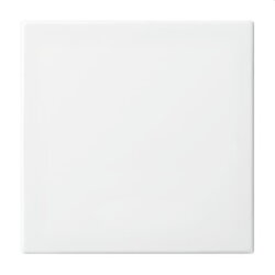 Busch-Jaeger Bedienelement 6735 BT-914 BT 1-f.