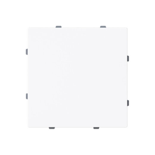 Busch-Jaeger Blindzentralscheibe 1742-44G m.Tragring