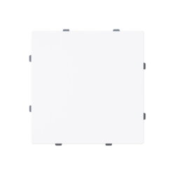 Busch-Jaeger Blindzentralscheibe 1742-44G m.Tragring