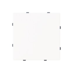 Busch-Jaeger Blindzentralscheibe 1742-44M m.Tragring